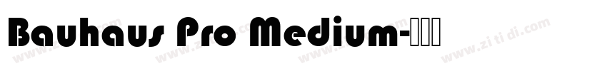 Bauhaus Pro Medium字体转换